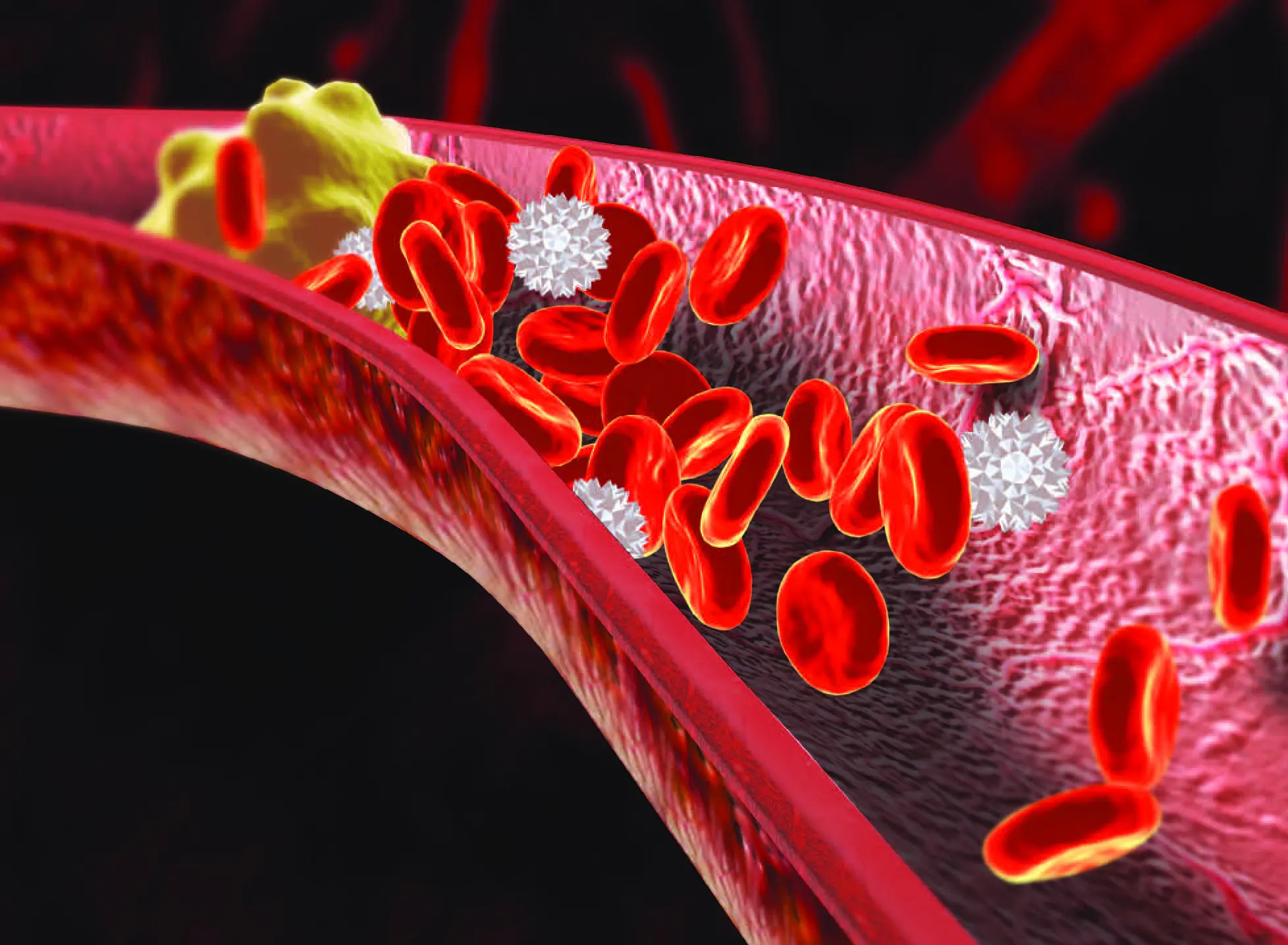 clinical-chem-lab-anticoagulants-and-pipettes-quetab