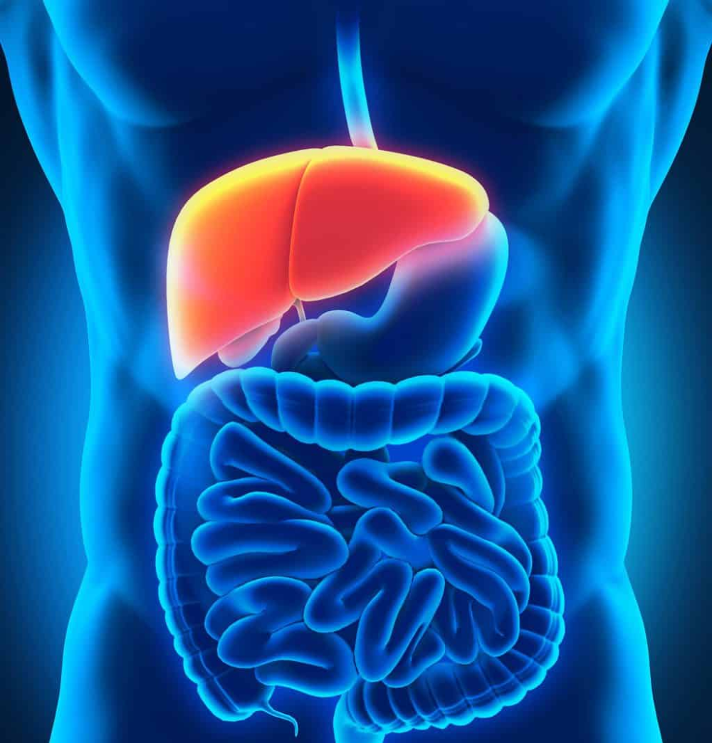 liver-functions-disorders-and-diagnostic-tests-quetab